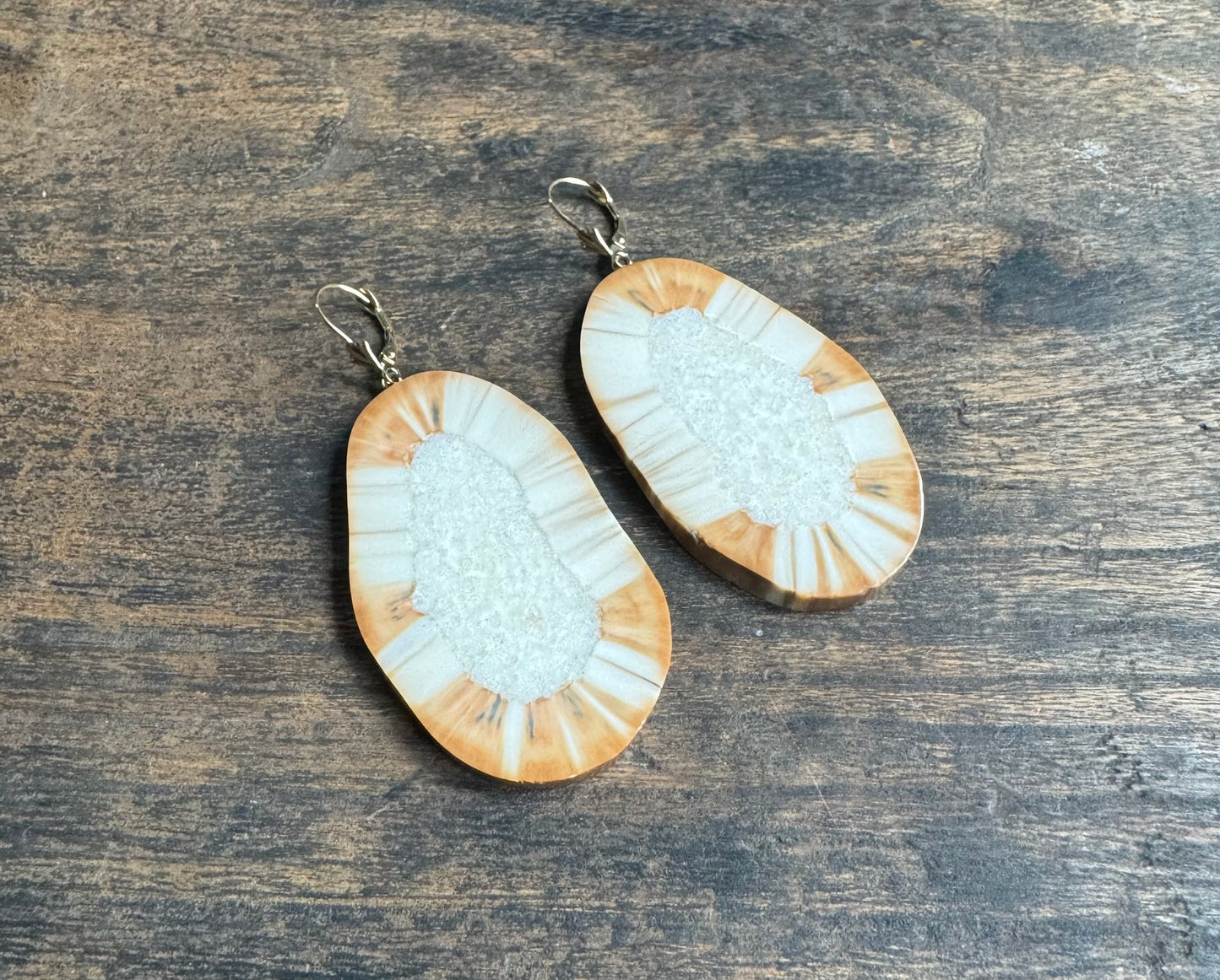 Ultra Rare Fossil Walrus Sunburst + 14kt Gold Earrings