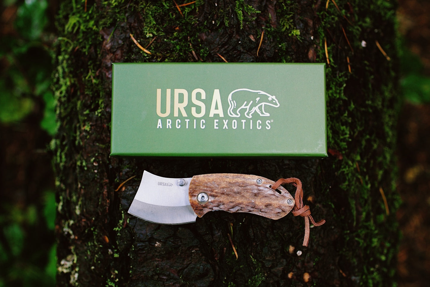 Ursa Pocket Ulu