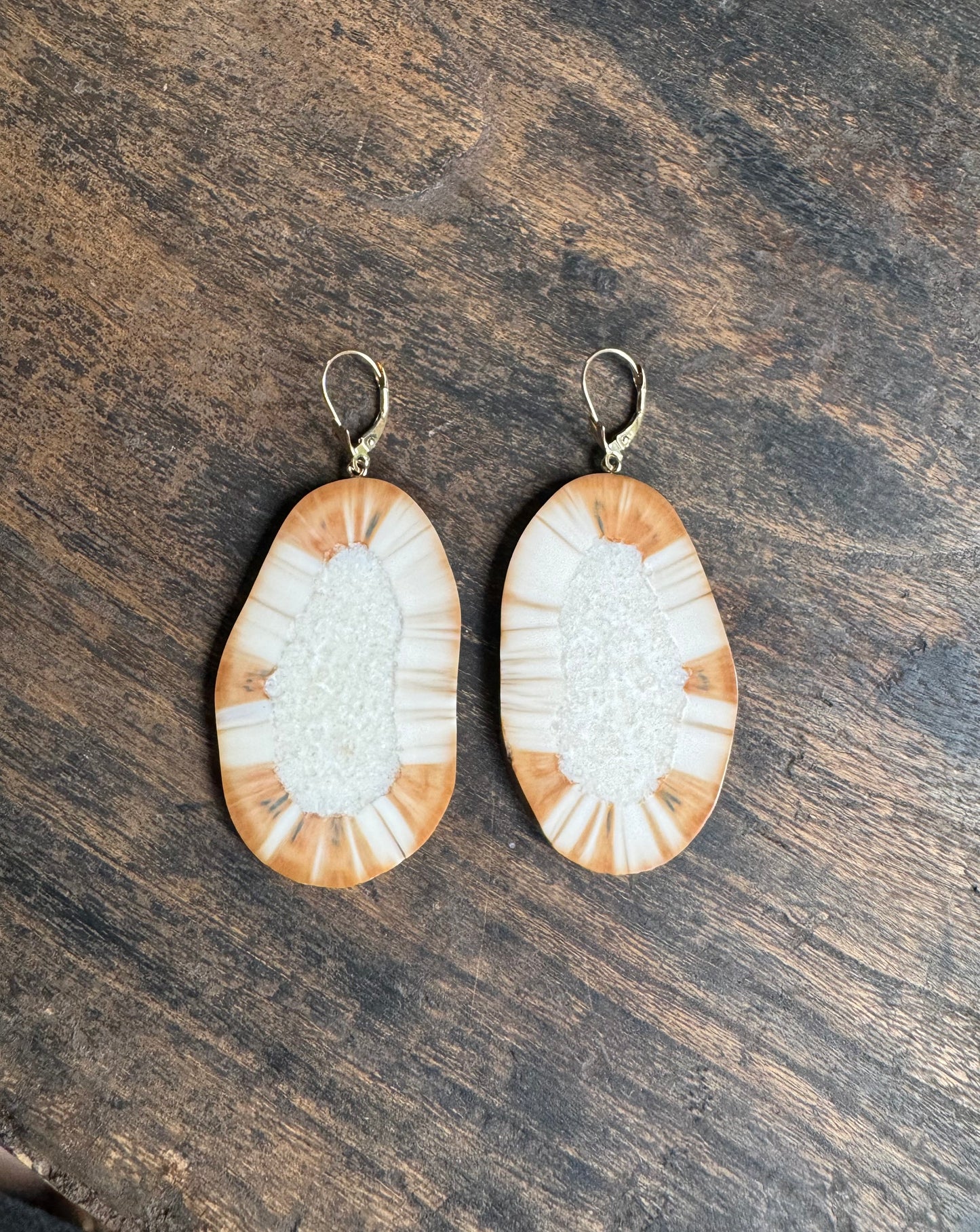 Ultra Rare Fossil Walrus Sunburst + 14kt Gold Earrings