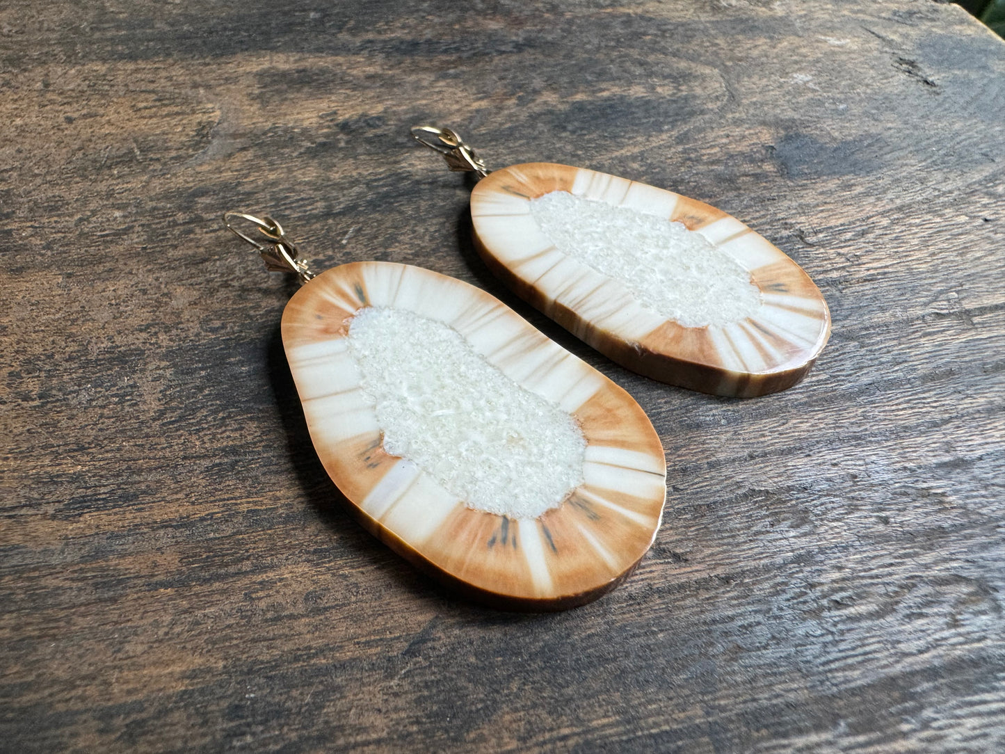 Ultra Rare Fossil Walrus Sunburst + 14kt Gold Earrings