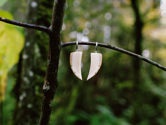 Mammoth Tusk Earrings