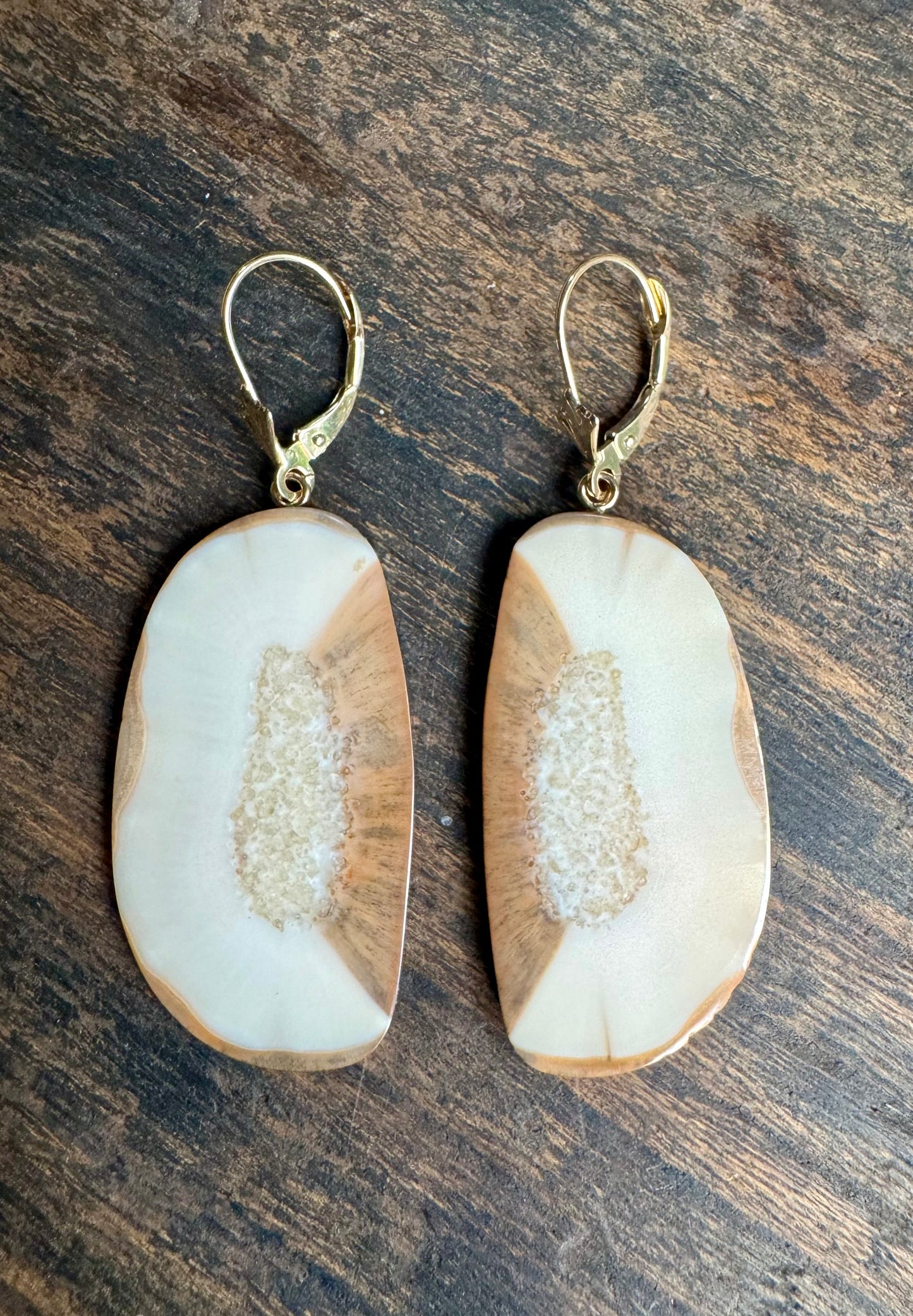 Fossil Walrus Ivory Slice Earrings