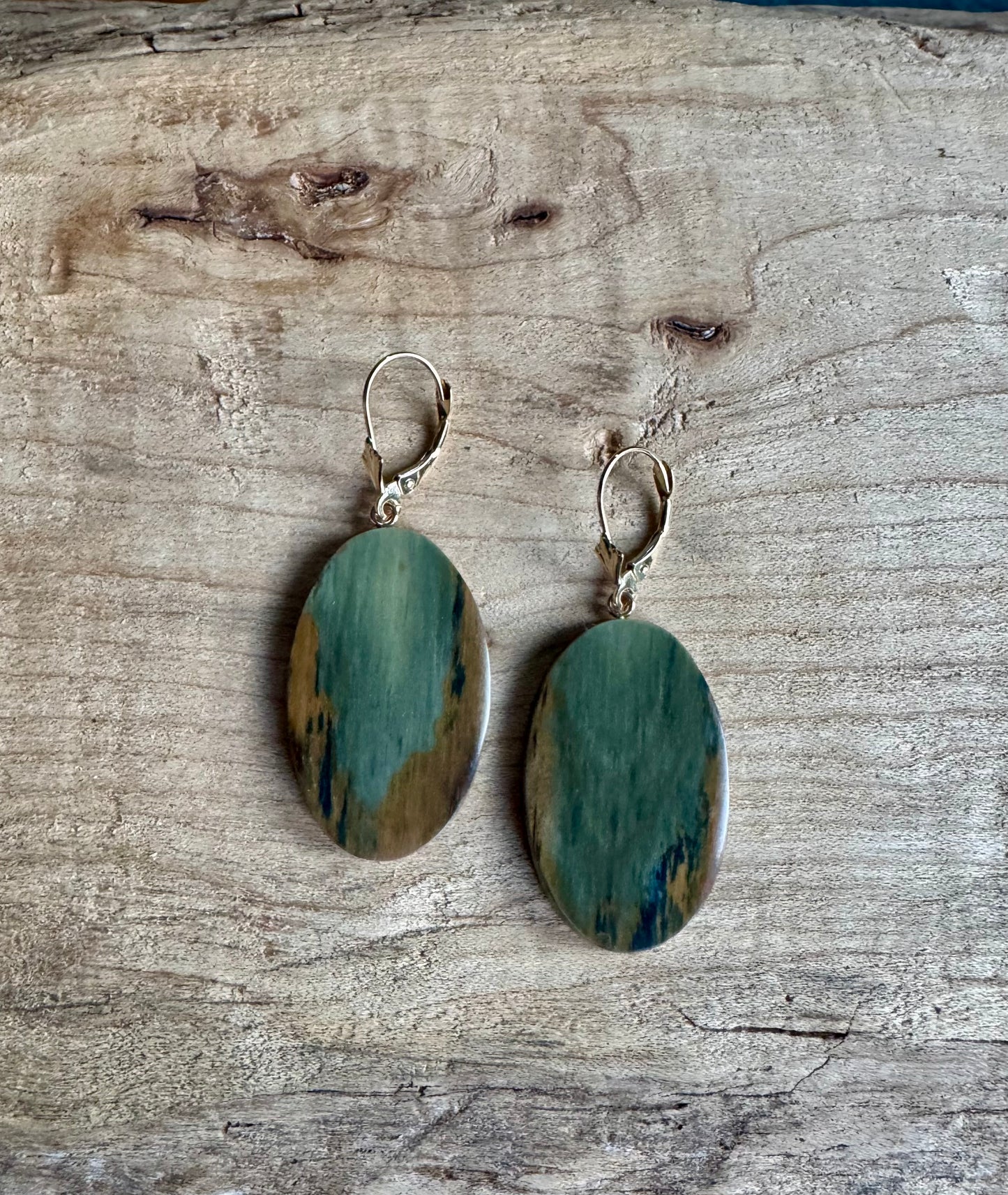 Rare Blue Green Mammoth + 14kt Gold Oval Earrings