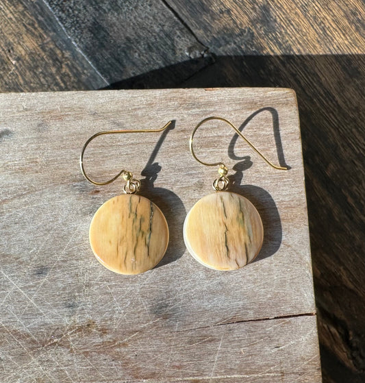 Round Fossil Mammoth + 14kt Earrings